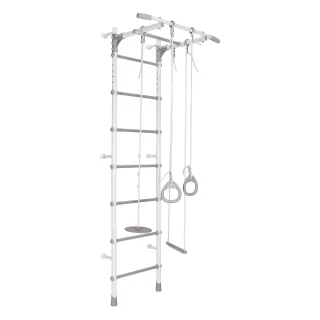 Gimnasio Infantil de Pared con Espaldera, Anillas, Bungee y Columpio VAINILLA 217*64*58 cm